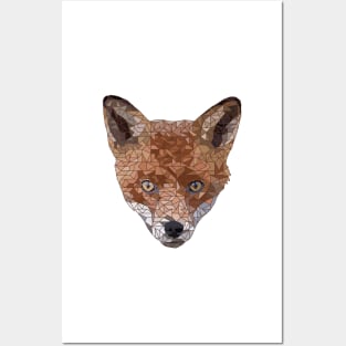 Felix the Fox Posters and Art